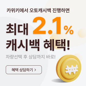 카위키 오토캐시백 광고